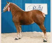 Remlap Constance Sarah